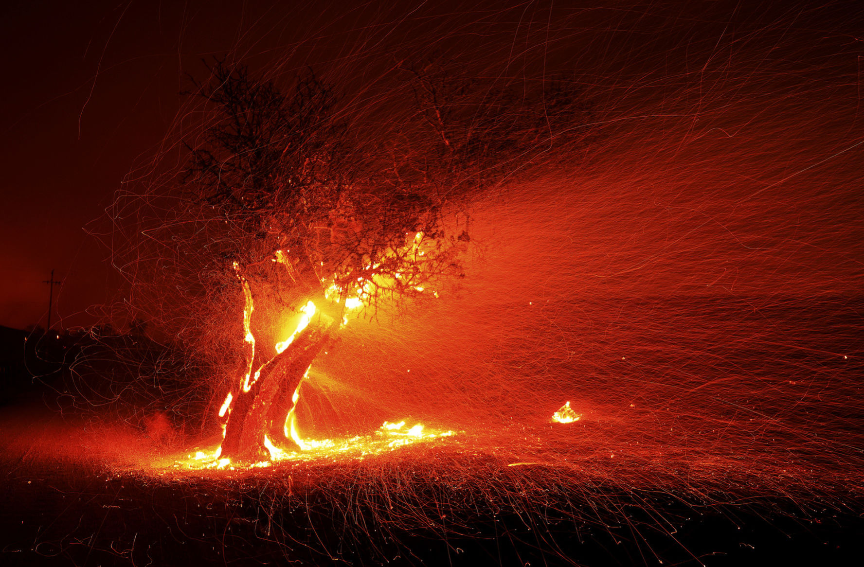 California wildfires